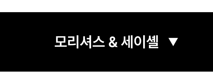 모리셔스 혜택